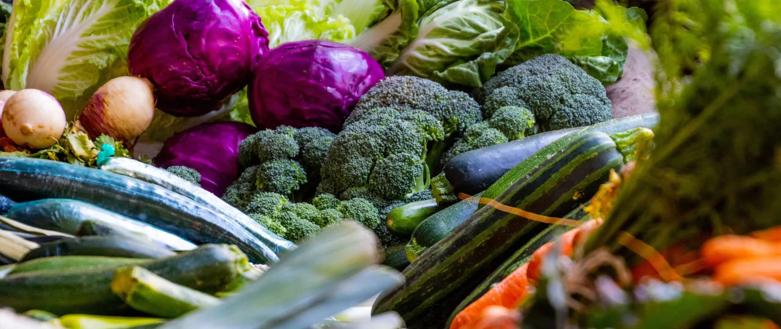 Fresh vegetables packed together: red cabbage, broccoli, courgettes, carrots and lettuce